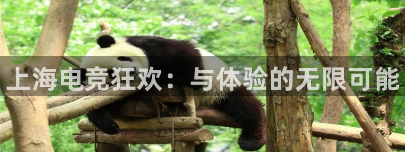 ky电竞：上海电竞狂欢：与体验的无限可能