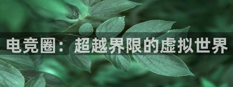 ky电竞：电竞圈：超越界限的虚拟世界
