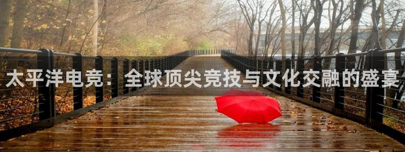 ky电竞：太平洋电竞：全球顶尖竞技与文化交融的盛宴