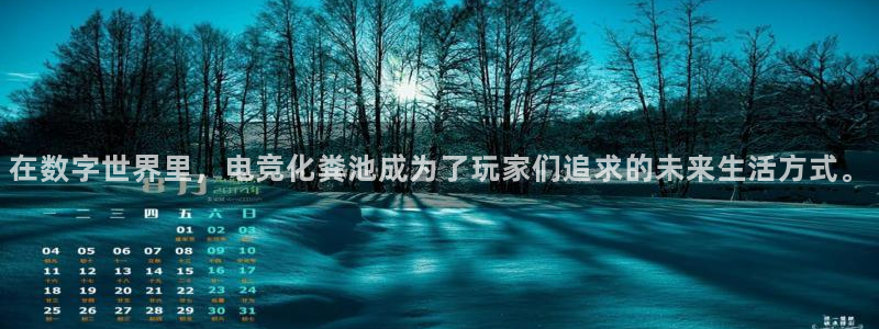 ky电竞：在数字世界里，电竞化粪池成为了玩家们追求的未来生活方式。