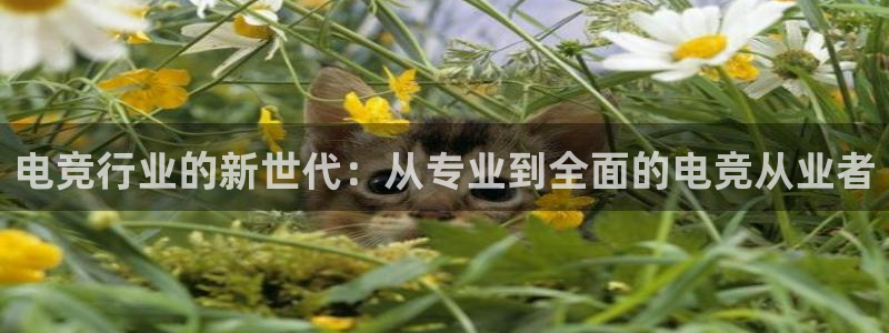 ky电竞：电竞行业的新世代：从专业到全面的电竞从业者
