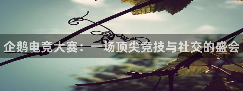 ky开元电竞：企鹅电竞大赛：一场顶尖竞技与社交的盛会