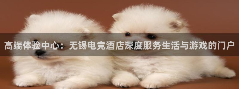 ky开元电竞：高端体验中心：无锡电竞酒店深度服务生活与游戏的门户