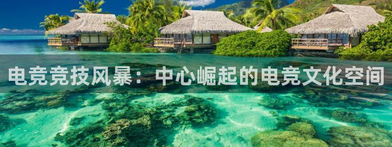 ky电竞馆：电竞竞技风暴：中心崛起的电竞文化空间