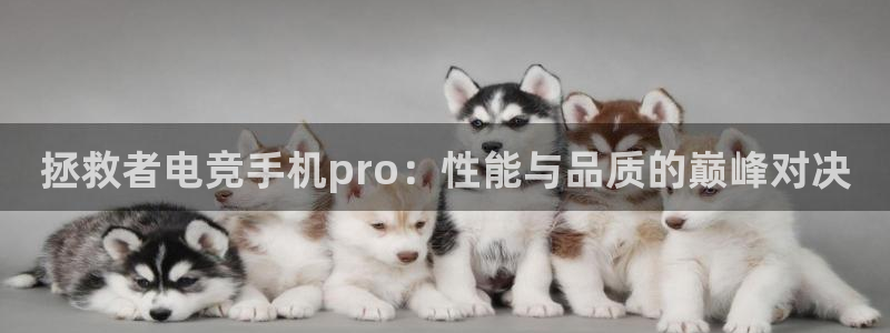 ky开元电竞：拯救者电竞手机pro：性能与品质的巅峰对决