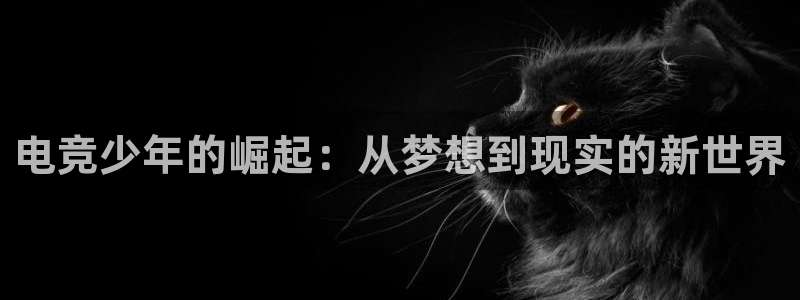 ky开元电竞：电竞少年的崛起：从梦想到现实的新世界